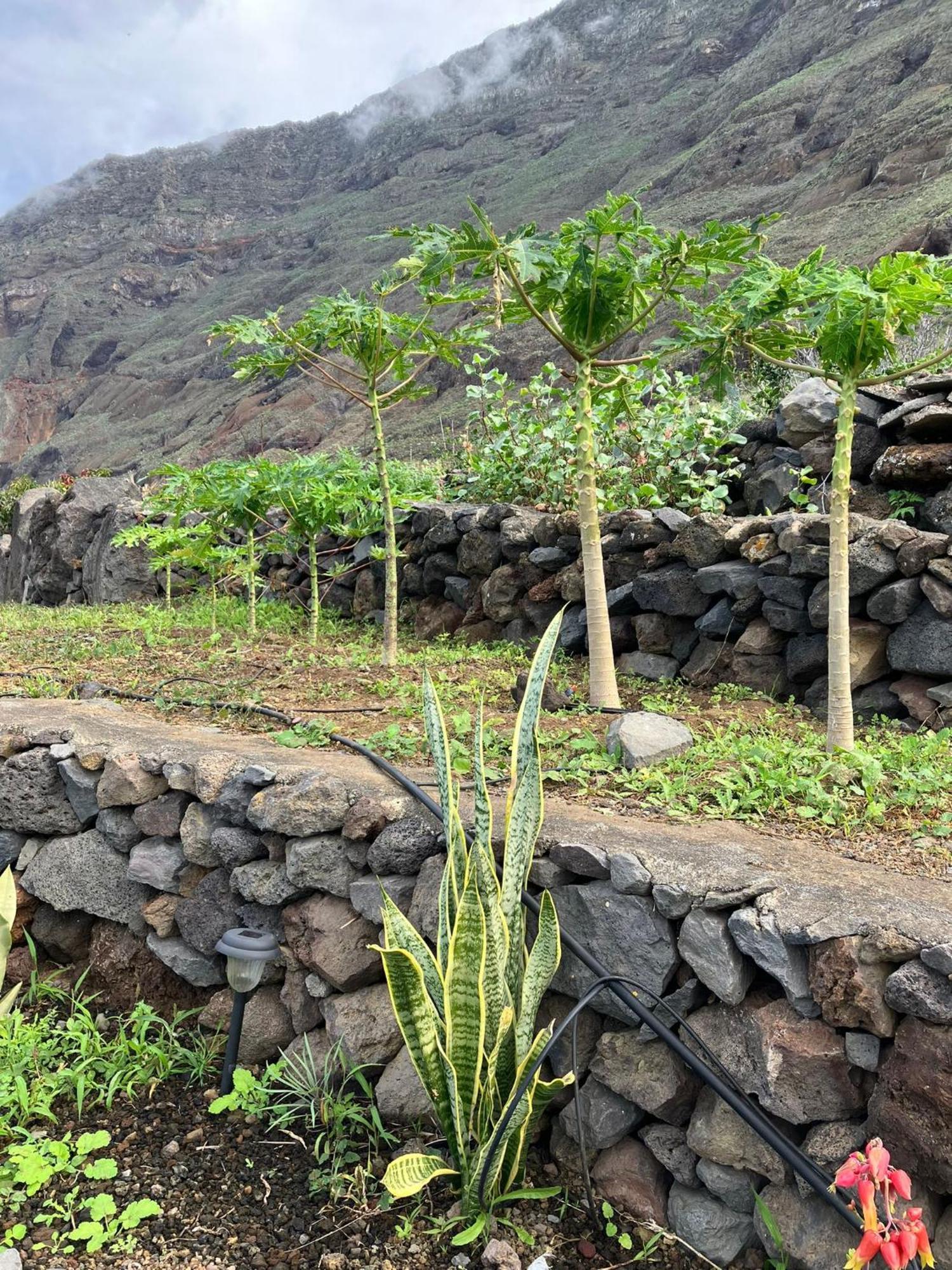 Casa Nela. Rural Y Acogedora En Las Puntas El Hierro Jerez de la Frontera Exterior foto